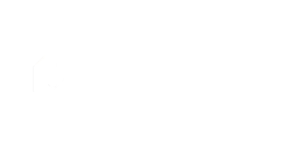 Flow Dynamics